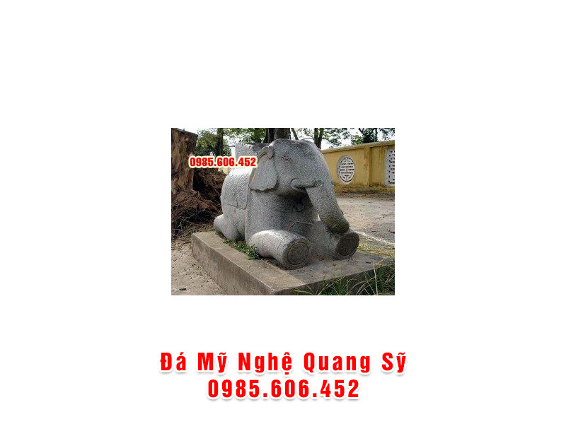 VOI DA VD 003