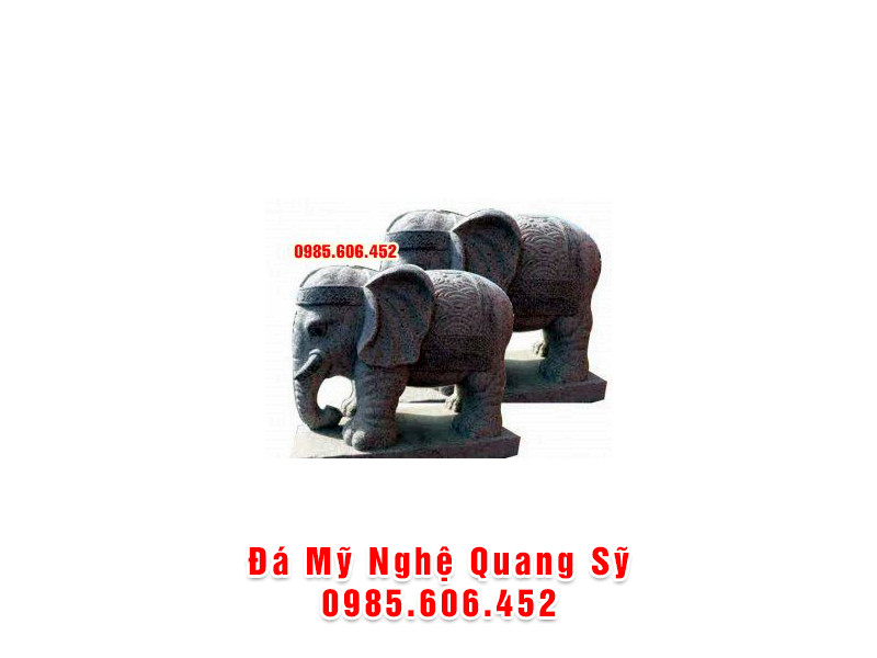 VOI DA VD 006